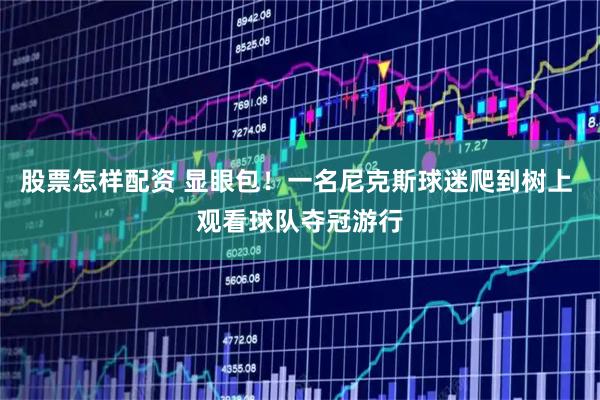 股票怎样配资 显眼包！一名尼克斯球迷爬到树上 观看球队夺冠游行